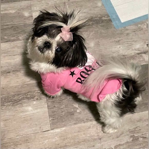 Meet your Posher, Nikki - Picture 7 of 13